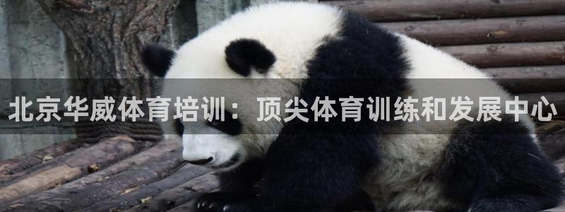极悦娱乐贴吧官网：北京华威体育培训：顶尖体育训练和发