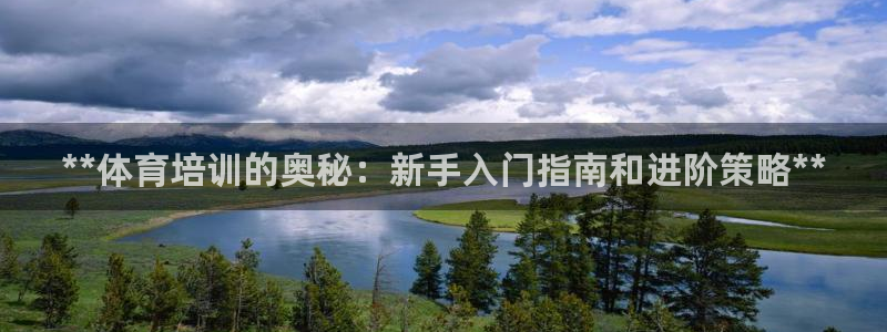 极悦平台是干嘛的公司：**体育培训的奥秘：新手入门指