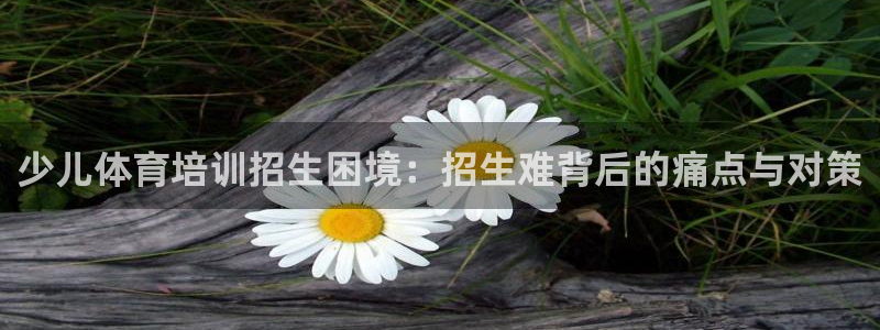 极悦平台登录不进去怎么回事呢：少儿体育培训招生困境：