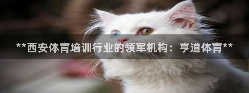 极悦娱乐公司最新招聘信息官网：**西安体育培训行业的