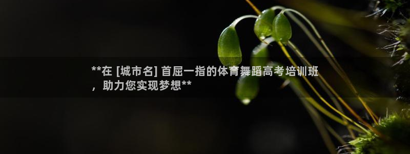 极悦是什么牌子空调：**在 [城市名] 首屈一指的体