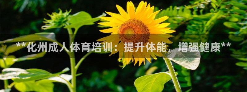 极悦娱乐会被骗吗：**化州成人体育培训：提升体能，增