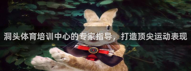 极悦官方网站入口网址：洞头体育培训中心的专家指导，打