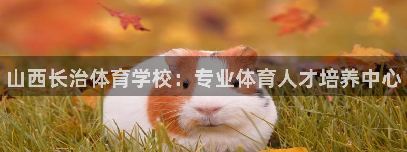 极悦平台注册流程详解：山西长治体育学校：专业体育人才