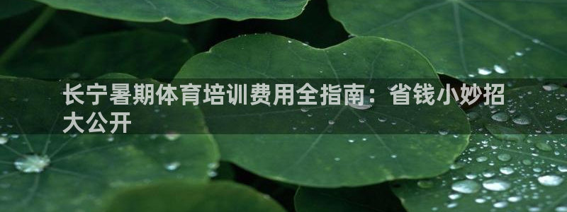 极悦是什么牌子空调：长宁暑期体育培训费用全指南：省钱