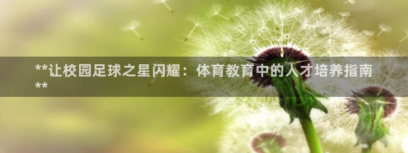极悦平台注册流程图：**让校园足球之星闪耀：体育教育