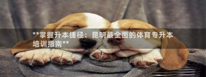 极悦娱乐app官方版本更新内容在哪：**掌握升本捷径