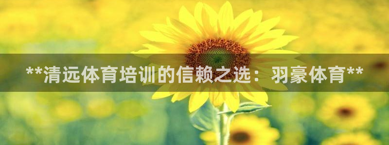 极悦平台的注册流程及注意事项有哪些：**清远体育培训
