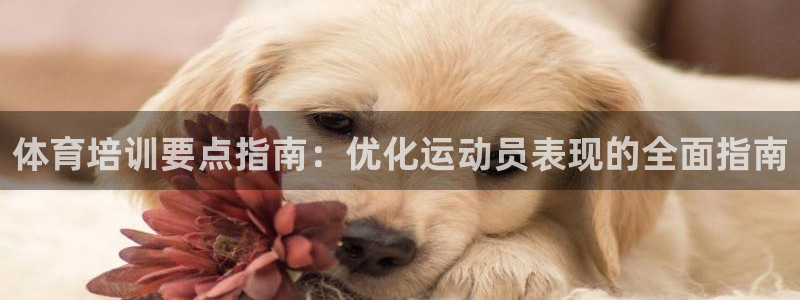 极悦平台登录方式是什么：体育培训要点指南：优化运动员