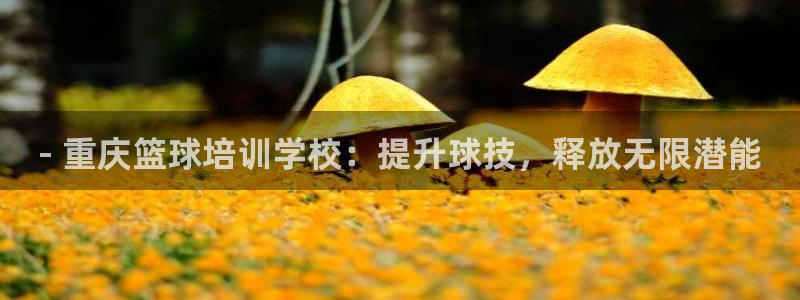 极悦官网入口登录网址：- 重庆篮球培训学校：提升球技
