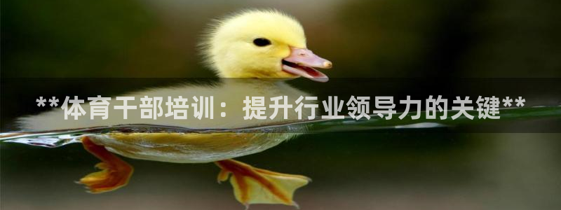 极悦官方网站app下载软件：**体育干部培训：提升行