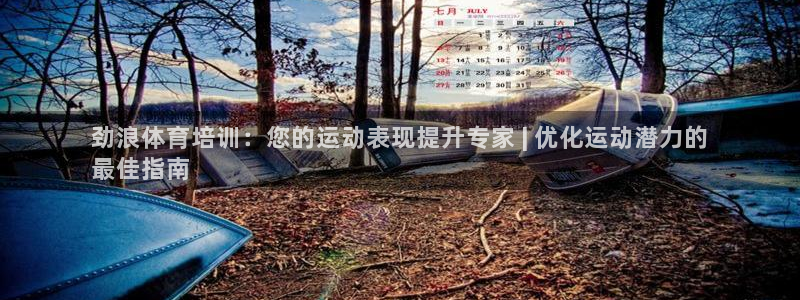 极悦娱乐的内部员工福利：劲浪体育培训：您的运动表现提
