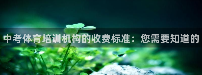 极悦官方网站入口网址是多少：中考体育培训机构的收费标