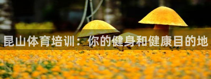 极悦娱乐百科百度：昆山体育培训：你的健身和健康目的地