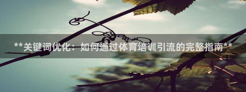 加盟极悦教育：**关键词优化：如何通过体育培训引流的