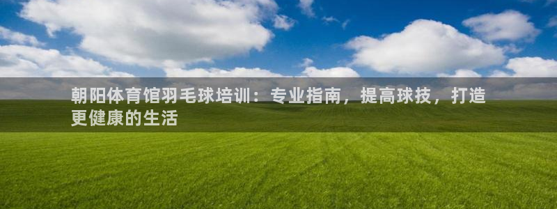 极悦平台官网登录：朝阳体育馆羽毛球培训：专业指南，提