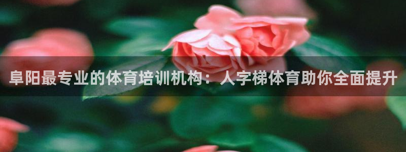 极悦平台用户评价：阜阳最专业的体育培训机构：人字梯体