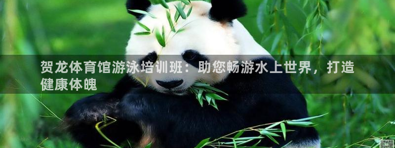 极悦平台用户评价与反馈怎么设置：贺龙体育馆游泳培训班