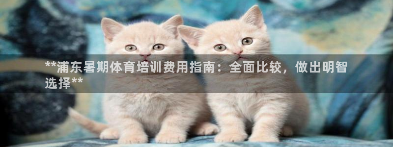 极悦平台注册和登录页面一样吗：**浦东暑期体育培训费