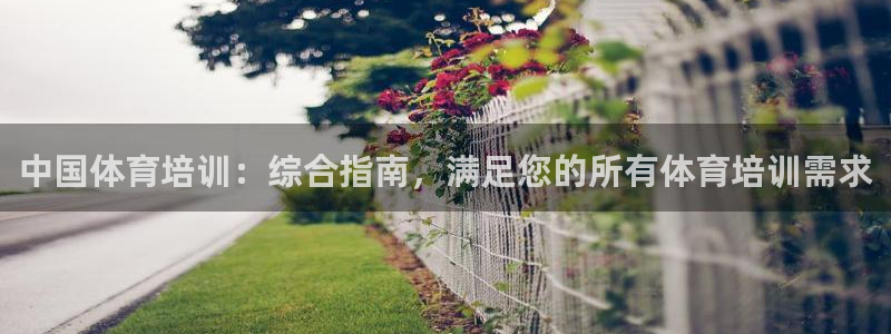 极悦平台官方网站登录：中国体育培训：综合指南，满足您
