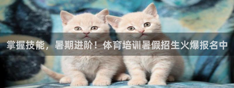 极悦平台代理怎么做：掌握技能，暑期进阶！体育培训暑假