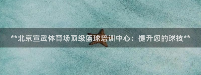 极悦平台城7O777：**北京宣武体育场顶级篮球培训