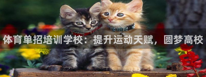 极悦平台注册太7.0.2.4怎么解决：体育单招培训学
