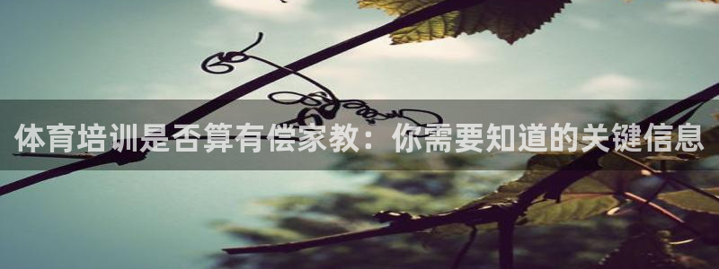 极悦平台用户评价与反馈：体育培训是否算有偿家教：你需