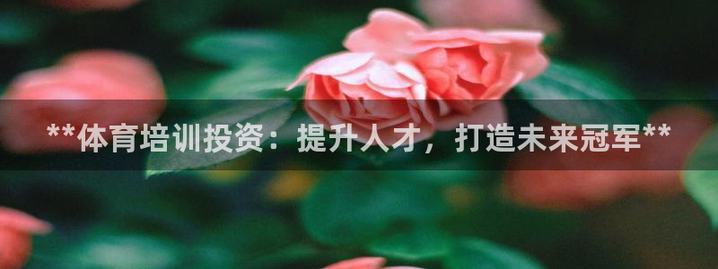 极悦平台官网下载中心app：**体育培训投资：提升人