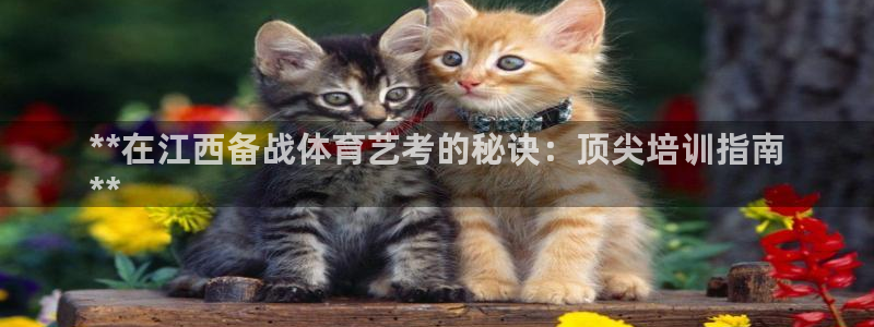 极悦平台平台注册方法与步骤图：**在江西备战体育艺考
