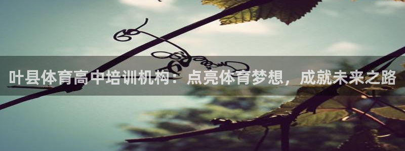 极悦官网入口登录：叶县体育高中培训机构：点亮体育梦想