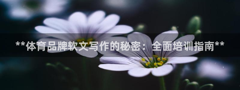 极悦平台app安全吗是真的吗：**体育品牌软文写作的