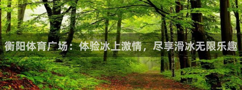 极悦娱乐的背景和历史背景：衡阳体育广场：体验冰上激情