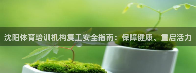 极悦娱乐会被骗吗安全吗：沈阳体育培训机构复工安全指南