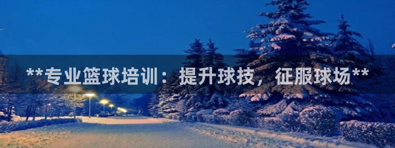 极悦平台官网登录入口下载：**专业篮球培训：提升球技