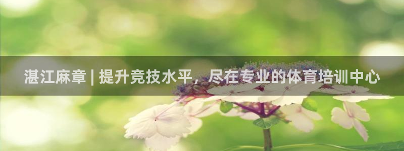 极悦平台注册用户名格式错误：湛江麻章 | 提升竞技水