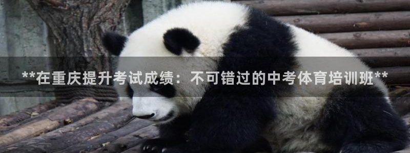 极悦平台官方网址查询：**在重庆提升考试成绩：不可错