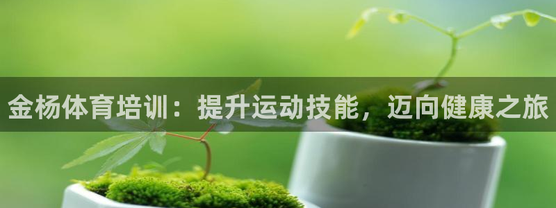 极悦平台城7O777：金杨体育培训：提升运动技能，迈