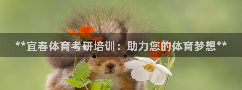 极悦娱乐的内部员工福利：**宜春体育考研培训：助力您