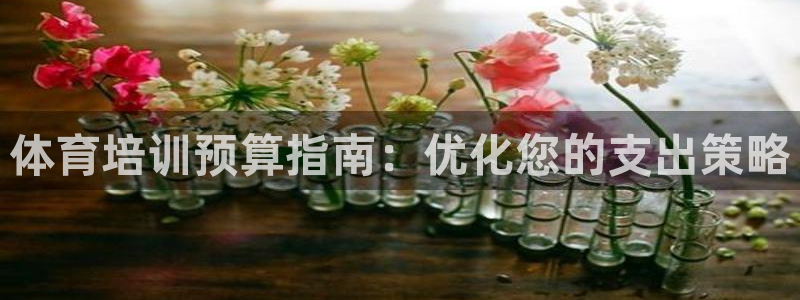 极悦平台代理怎么样可靠吗：体育培训预算指南：优化您的