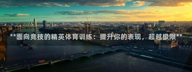 加盟极悦教育：**面向竞技的精英体育训练：提升你的表