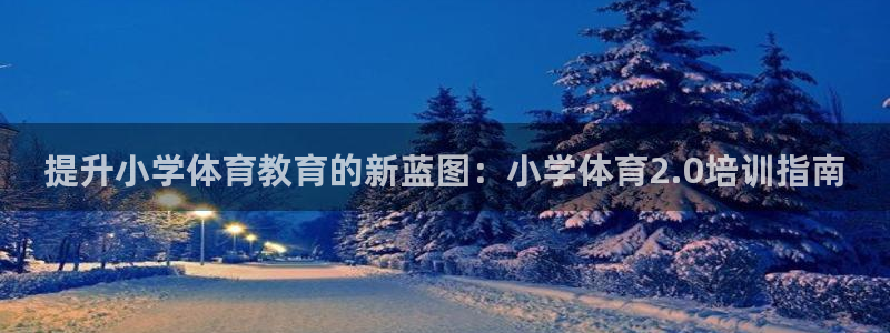 极悦平台注册资金多少：提升小学体育教育的新蓝图：小学