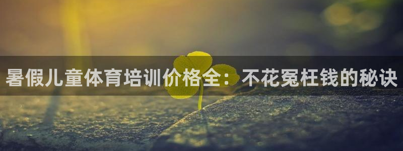 极悦娱乐官网最新版本更新内容下载：暑假儿童体育培训价
