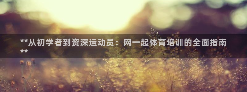 极悦娱乐官网最新版本更新内容是什么：**从初学者到资