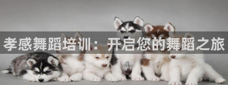 极悦官方网站入口网址是多少：孝感舞蹈培训：开启您的舞
