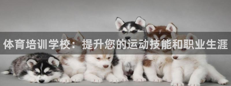 极悦娱乐代理多少钱：体育培训学校：提升您的运动技能和