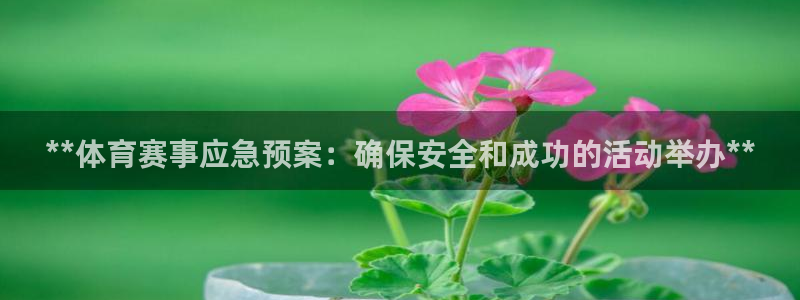 极悦平台是干什么的啊：**体育赛事应急预案：确保安全