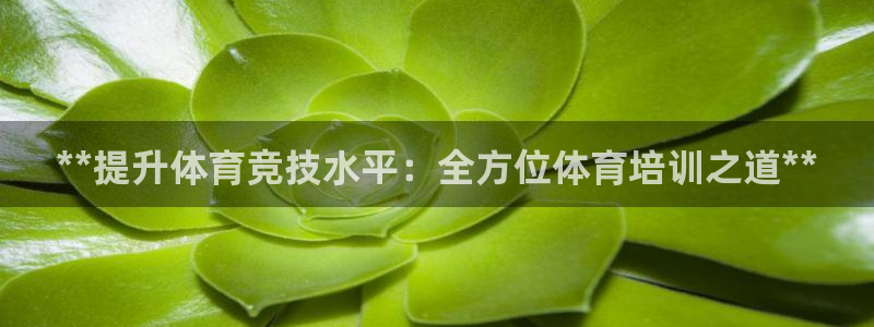 极悦平台股东：**提升体育竞技水平：全方位体育培训之