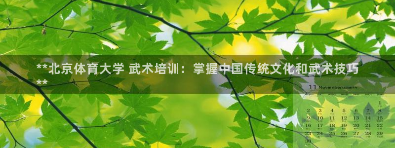 极悦平台客服的联系方式是什么：**北京体育大学 武术