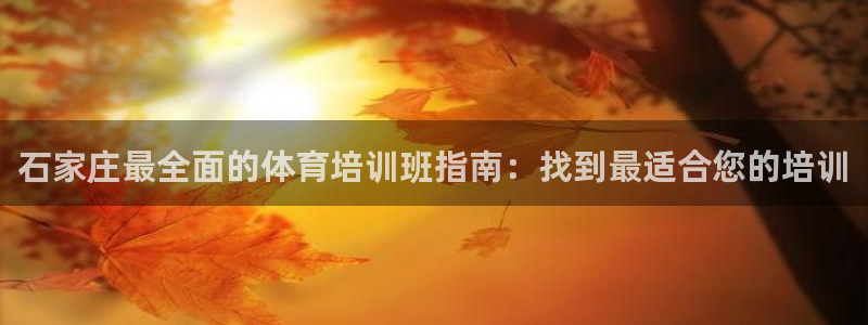 极悦平台股东是谁：石家庄最全面的体育培训班指南：找到
